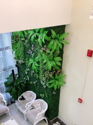 -苗医生草本科技祛痘