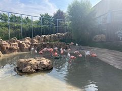 -齐齐哈尔龙沙动植物园