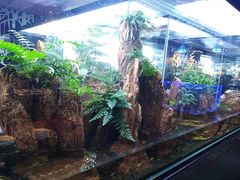 -泰谷酒店·太古码头闽菜自助餐厅