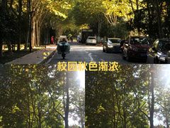 -四里河滨水生态公园