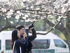 -武汉大学-樱园