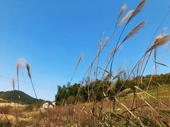 -普迪生态园