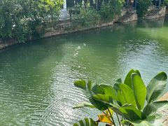 -赤坎·广东华侨国际旅游度假区