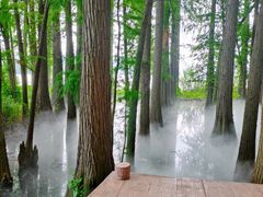 -东湖落雁景区
