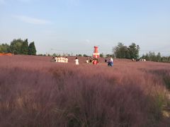 -羊亭河湿地公园