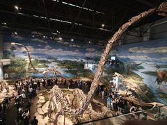 -自贡恐龙博物馆