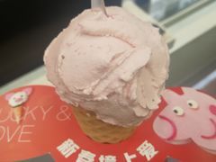 -野人先生现做冰淇淋(西安赛格店)