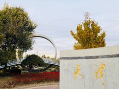 -武清南湖绿博园