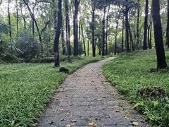 -杭州植物园