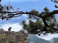 -黄山风景区