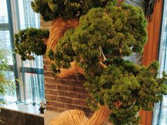 -陶然居·重庆菜(解放碑店)