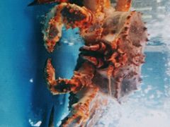 -海鲜e族(马王堆店)