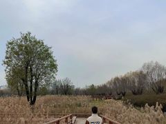 -汉长安城未央宫国家考古遗址公园