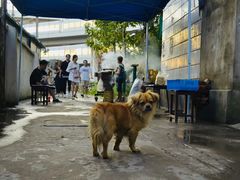 景观位-霍元甲烧烤(江城商务大楼店)