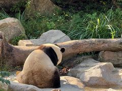 -宁波野生动物园