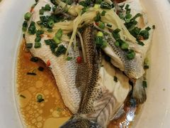 -HOHO餐厅(古子城店)