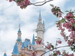 -上海迪士尼度假区