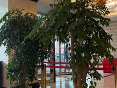 -天伦松鹤大饭店·欣妮咖啡