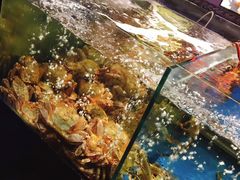 -蟹之国·精品蟹料理(极地店)