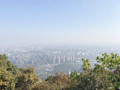 -杭州半山国家森林公园