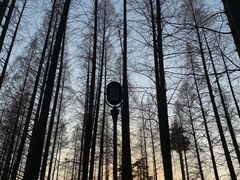 -青山公园萤火虫科普展