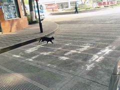 -上海外国语大学(虹口校区)