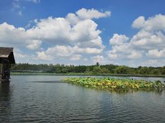 -溱湖国家湿地公园