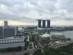 -新加坡瑞士史丹福酒店