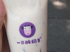 -一只酸奶牛(八一路店)