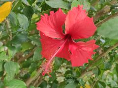 -北海市海滨公园