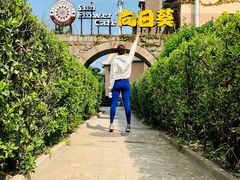 -向日葵咖啡