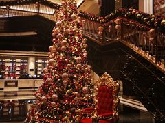 -上海苏宁宝丽嘉酒店·Cafe Bellagio西餐厅