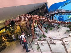 -陕西自然博物馆