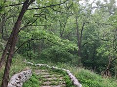 -阳台山自然风景区