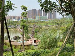 -枫香湖儿童公园