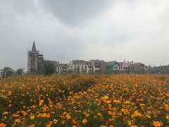 花海和建筑-美的鹭湖森林度假区