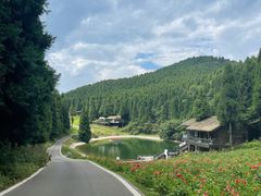 -武陵山森林公园