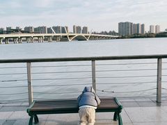 -蠡湖大桥公园