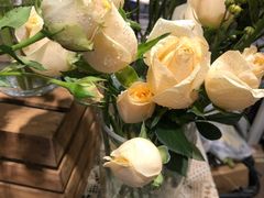 -Libra Flora花店(骆岗中央公园店)