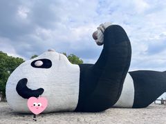 -苏州太湖国家湿地公园
