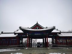 -莲花池公园