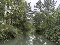 -桤木河湿地公园