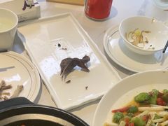 -琬苑鸽庄·川粤融合菜(解放碑总店)