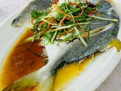 -众味海鲜大排档·活海鲜·潮汕味(南澳店)