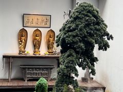 -觀芷隐轩