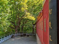 -皇藏峪国家森林公园
