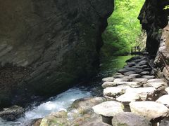 -牛背梁国家森林公园