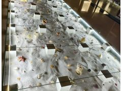 -青岛贝壳博物馆