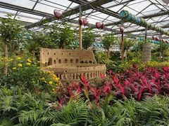 -南宫五洲植物乐园