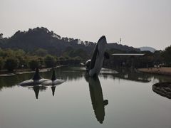 -宁波野生动物园